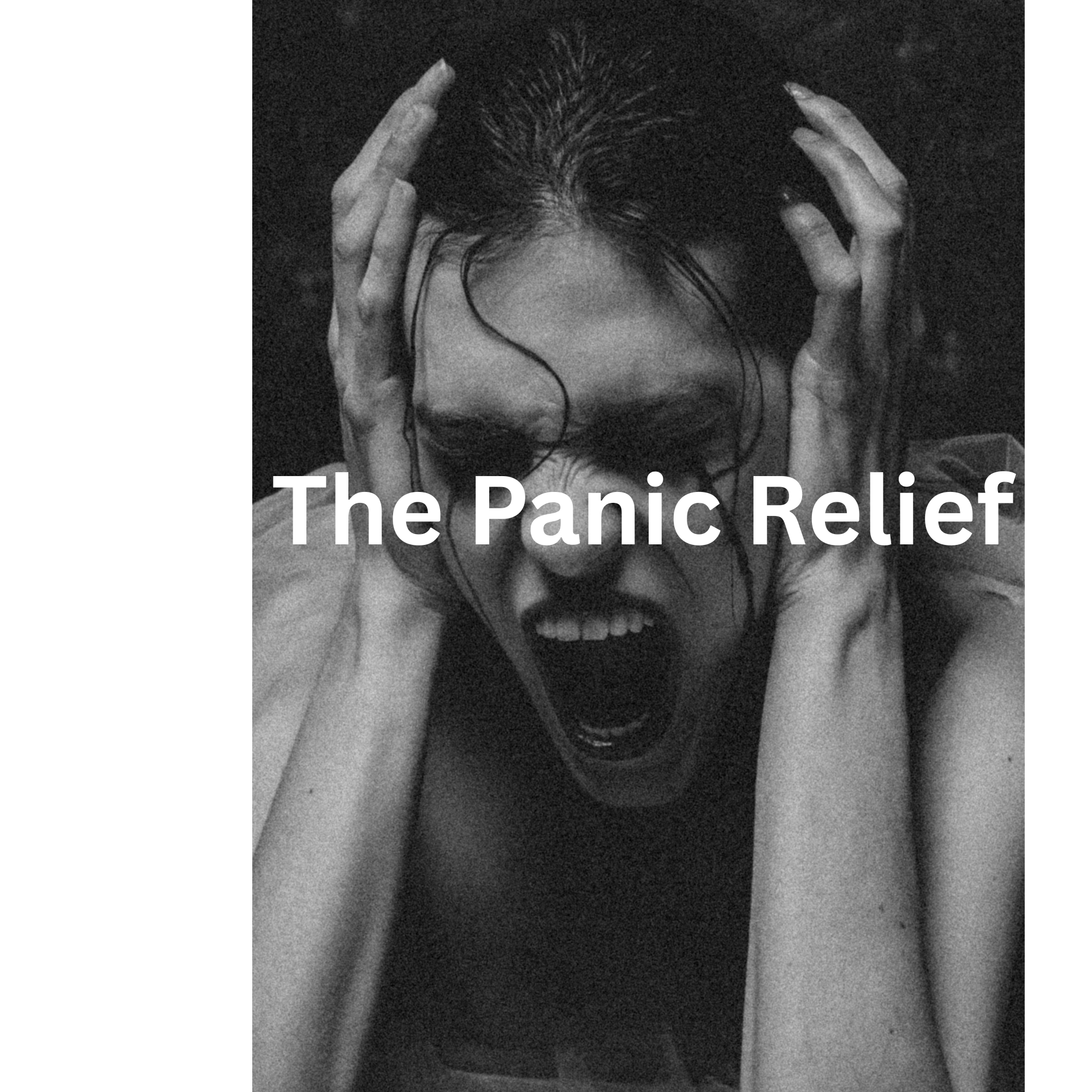 The Panic Relief Blueprint | A Step-by-Step System to Understand and Calm Panic Attacks